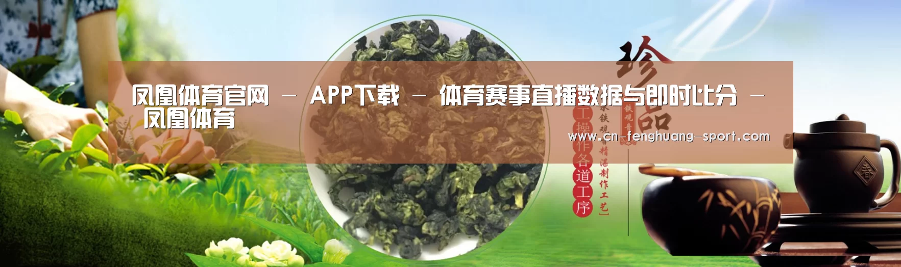 易优Cms-演示站